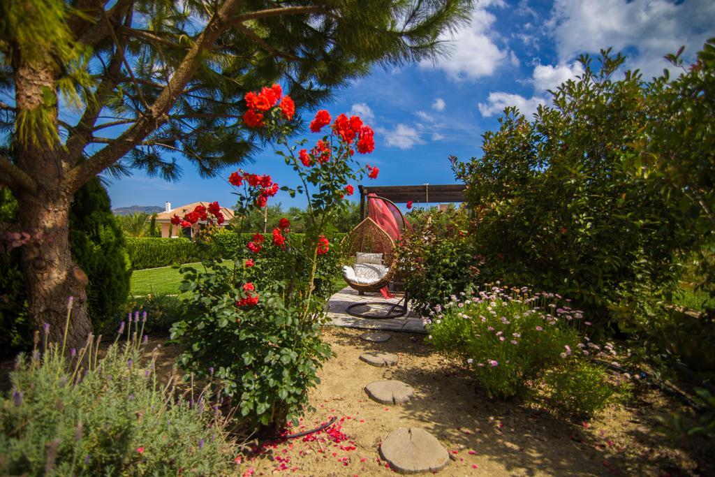 Villa Komfort Ambelokipoi (Zakynthos)